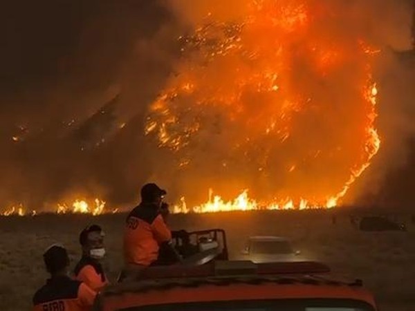 Kebakaran Terus Meluas, Kawasan Bromo Ditutup Total