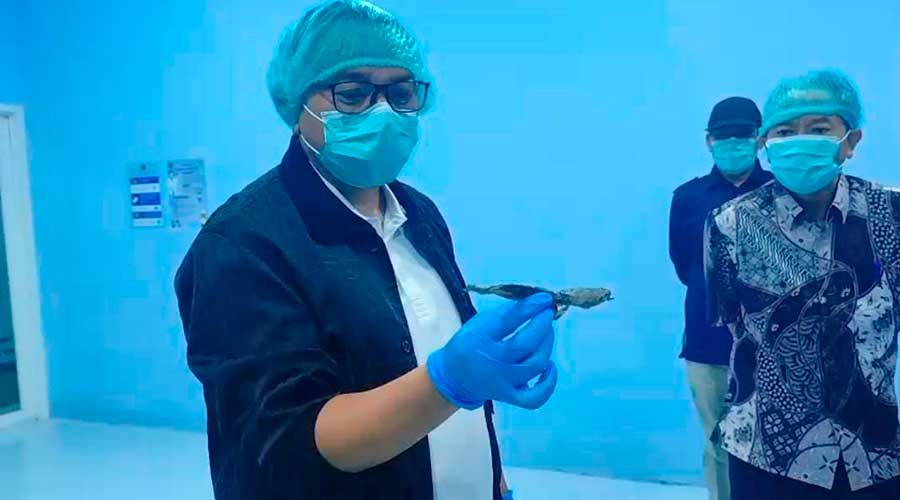 Sidak Dapur MBG, Plt Bupati Pati Temukan Ikan Lele Tinggal Tulang dan Kepala