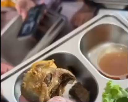 Viral! Tembolok Ayam Ditemukan dalam Menu MBG