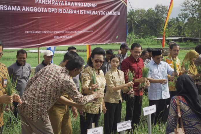 Gusti Kanjeng Ratu Hemas, Wakil Ketua DPD RI mengunjungi para petani di Kabupaten Gunungkidul. Bersama dengan 3 Anggota DPD RI DIY lainnya yakni R.A. Yashinta Sekarwangi Mega, Ir. Ahmad Syauqi Soeratno dan Hilmy Muhammad. Kunjungan dengan tema “Ketahanan Pangan” ini berlangsung Senin, 16 Juni 2025 di Padukuhan Klayar, Desa Kedungpoh, Kecamatan Nglipar, Kabupaten Gunung Kidul.