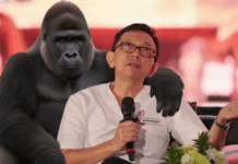 dr. Ryu Peringatkan Bahaya Penurunan IQ Orang Indonesia, Bisa Setara Gorila Istimewa